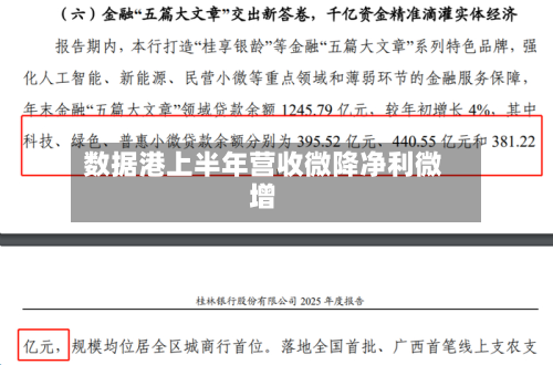 数据港上半年营收微降净利微增-第2张图片