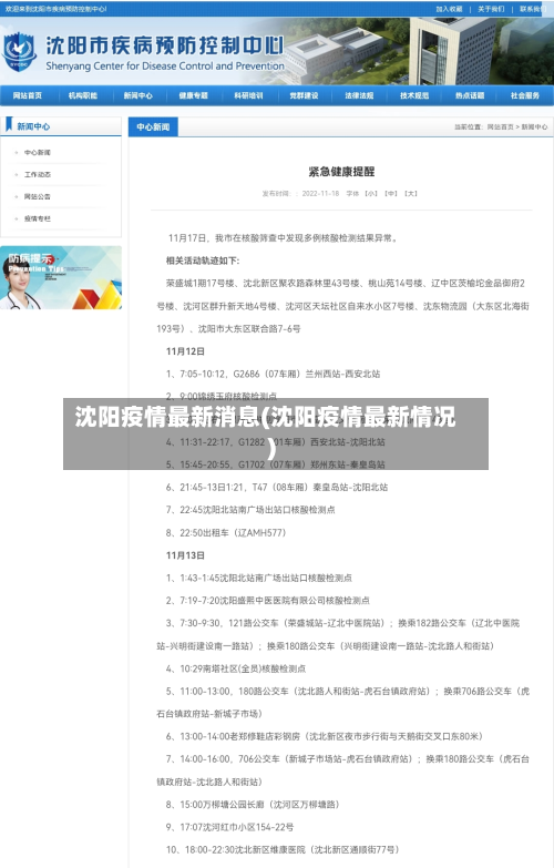 沈阳疫情最新消息(沈阳疫情最新情况)-第2张图片