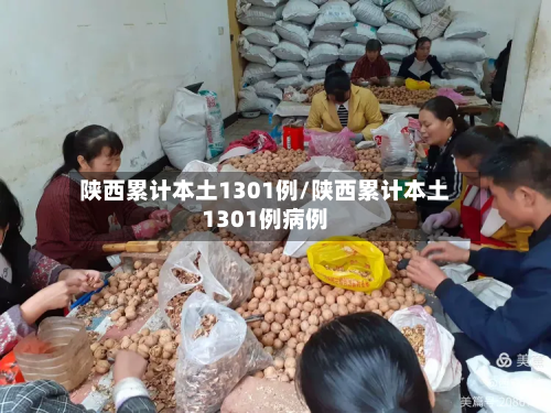 陕西累计本土1301例/陕西累计本土1301例病例