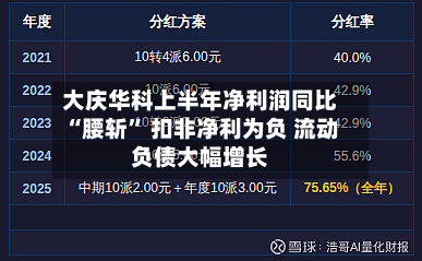 大庆华科上半年净利润同比“腰斩” 扣非净利为负 流动负债大幅增长-第3张图片