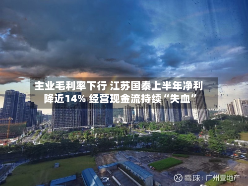 主业毛利率下行 江苏国泰上半年净利降近14% 经营现金流持续“失血”-第2张图片