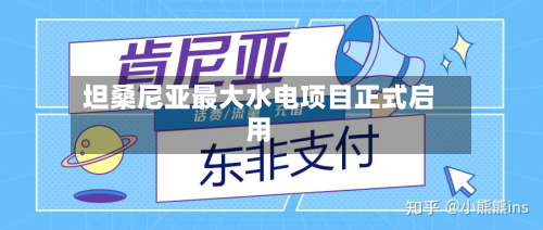 坦桑尼亚最大水电项目正式启用