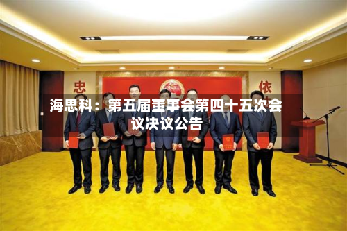 海思科：第五届董事会第四十五次会议决议公告-第2张图片