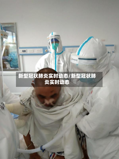 新型冠状肺炎实时动态/新型冠状肺炎实时动态