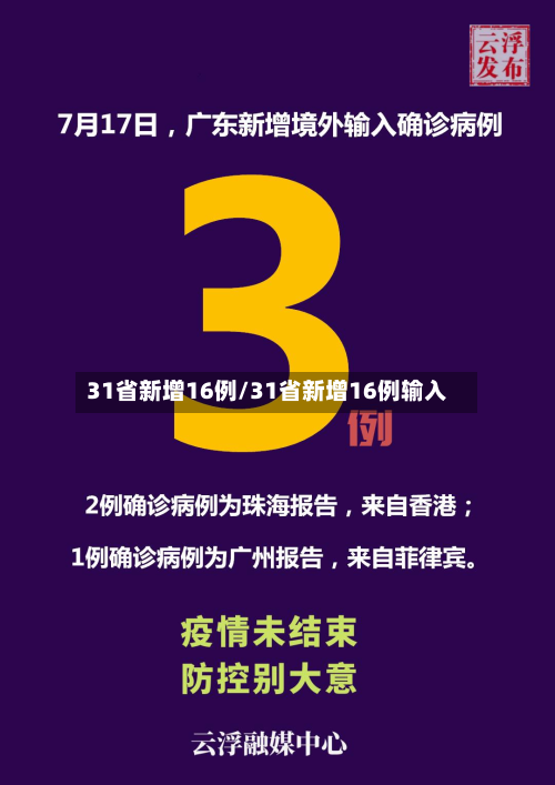 31省新增16例/31省新增16例输入