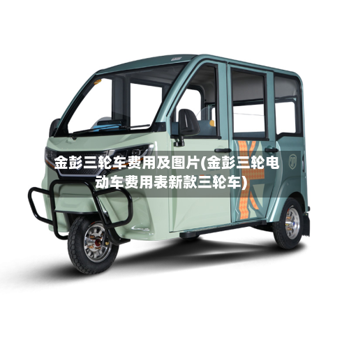 金彭三轮车费用及图片(金彭三轮电动车费用表新款三轮车)-第2张图片