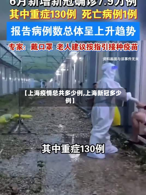 【上海疫情总共多少例,上海新冠多少例】-第2张图片