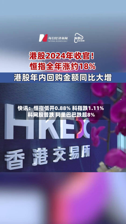 快讯：恒指低开0.88% 科指跌1.11% 科网股普跌 阿里巴巴跌超8%-第1张图片