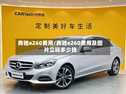 奔驰e260费用/奔驰e260费用及图片立标多少钱