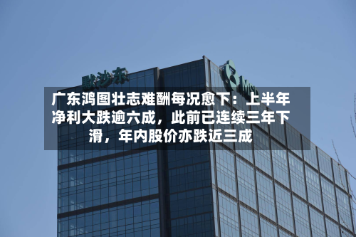 广东鸿图壮志难酬每况愈下：上半年净利大跌逾六成	，此前已连续三年下滑，年内股价亦跌近三成-第1张图片