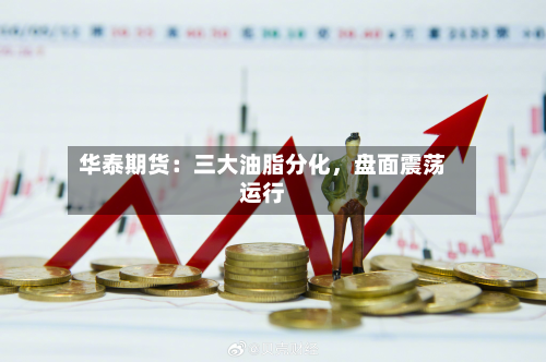 华泰期货：三大油脂分化，盘面震荡运行-第2张图片