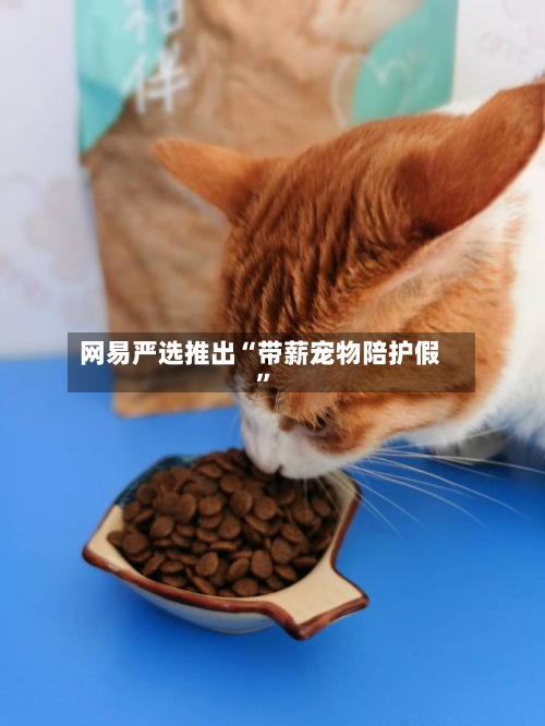 网易严选推出“带薪宠物陪护假”-第2张图片