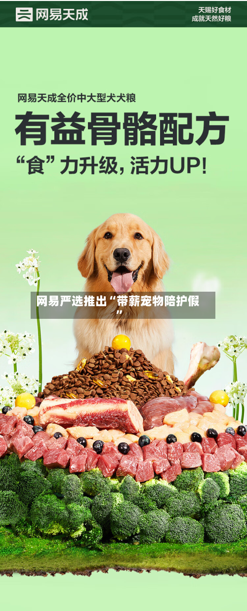 网易严选推出“带薪宠物陪护假”-第3张图片