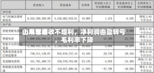 山鹰世界上半年增收不增利，净利润由盈转亏，毛利率下降-第2张图片