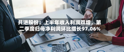 共进股份：上半年收入利润双增，第二季度归母净利润环比增长97.06%-第2张图片