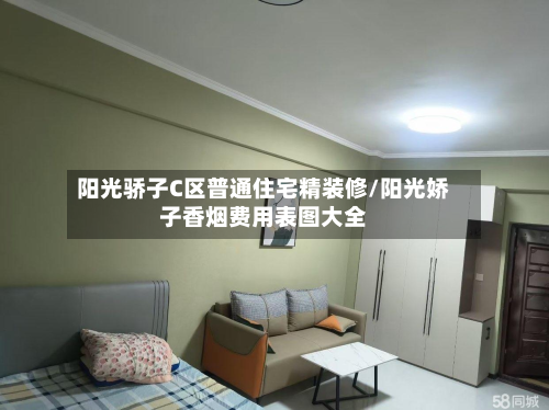 阳光骄子C区普通住宅精装修/阳光娇子香烟费用表图大全