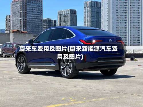 蔚来车费用及图片(蔚来新能源汽车费用及图片)-第2张图片