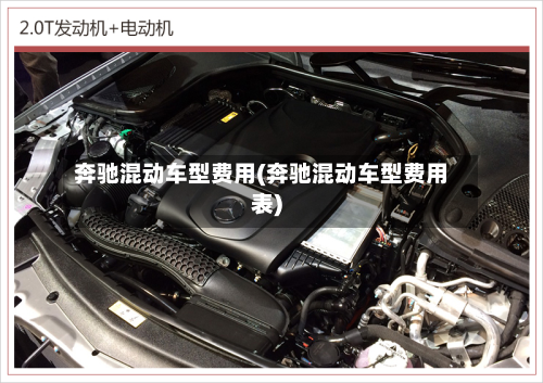 奔驰混动车型费用(奔驰混动车型费用表)-第2张图片