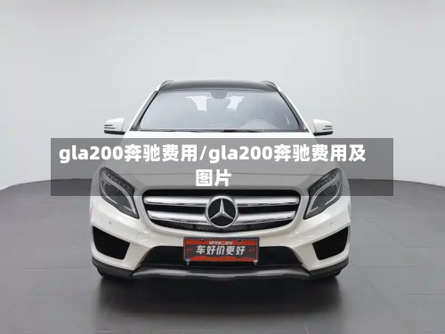 gla200奔驰费用/gla200奔驰费用及图片