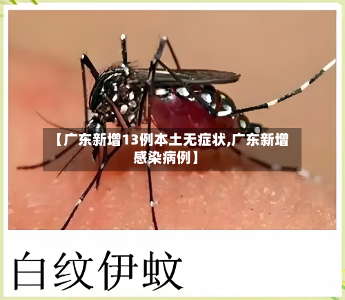 【广东新增13例本土无症状,广东新增感染病例】