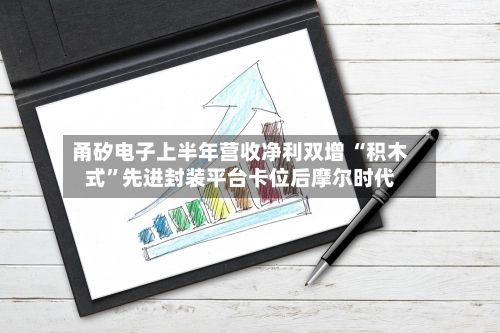 甬矽电子上半年营收净利双增 “积木式”先进封装平台卡位后摩尔时代-第2张图片