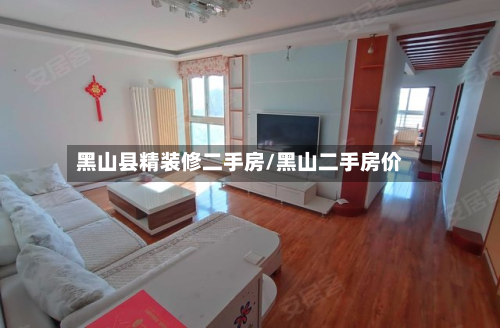 黑山县精装修二手房/黑山二手房价-第2张图片
