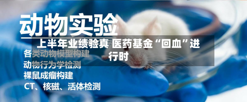上半年业绩验真 医药基金“回血”进行时-第2张图片