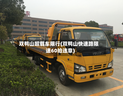 双鸭山超载车限行(双鸭山快速路限速60拍违章)