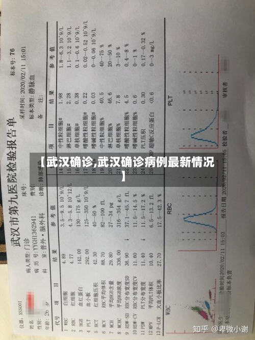 【武汉确诊,武汉确诊病例最新情况】-第2张图片