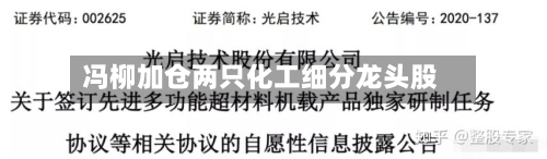 冯柳加仓两只化工细分龙头股
