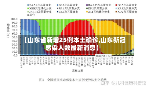 【山东省新增25例本土确诊,山东新冠感染人数最新消息】