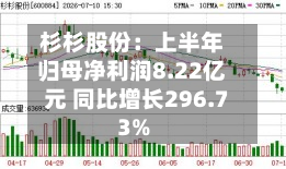 杉杉股份：上半年归母净利润8.22亿元 同比增长296.73%