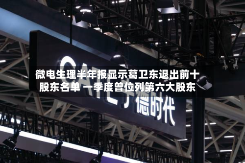 微电生理半年报显示葛卫东退出前十股东名单 一季度曾位列第六大股东-第3张图片
