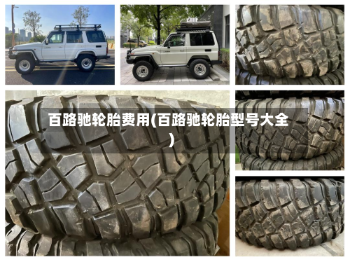 百路驰轮胎费用(百路驰轮胎型号大全)-第3张图片