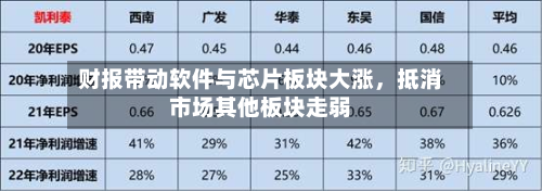 财报带动软件与芯片板块大涨，抵消市场其他板块走弱-第2张图片