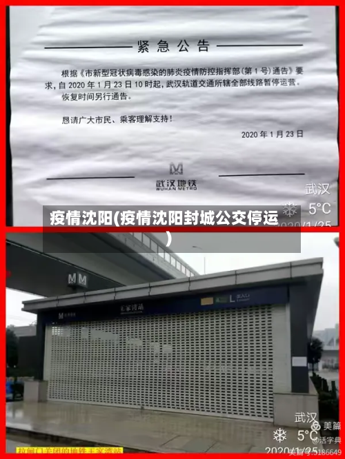 疫情沈阳(疫情沈阳封城公交停运)