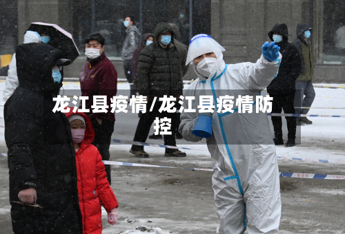 龙江县疫情/龙江县疫情防控-第2张图片
