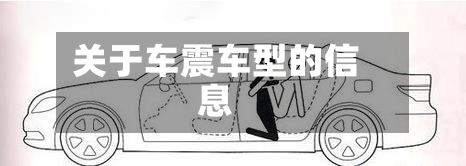 关于车震车型的信息-第2张图片