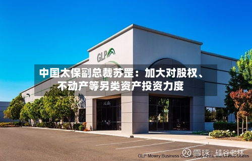 中国太保副总裁苏罡：加大对股权、不动产等另类资产投资力度-第2张图片