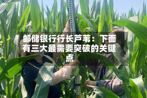 邮储银行行长芦苇：下面有三大最需要突破的关键点