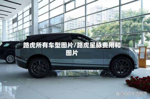 路虎所有车型图片/路虎星脉费用和图片