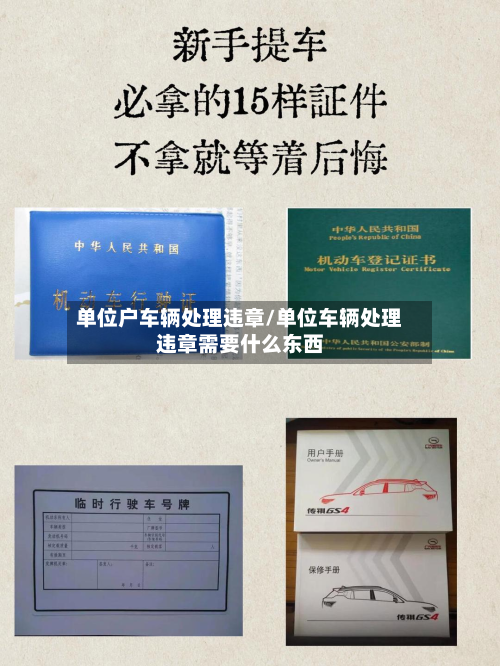 单位户车辆处理违章/单位车辆处理违章需要什么东西-第2张图片