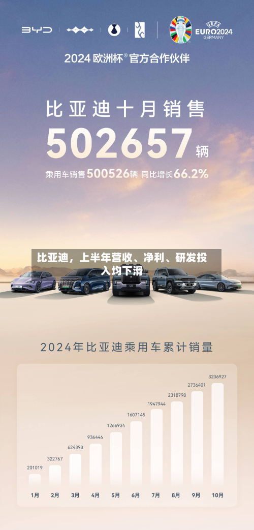 比亚迪，上半年营收、净利	、研发投入均下滑-第2张图片