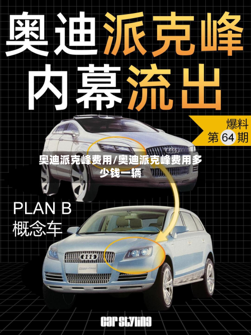 奥迪派克峰费用/奥迪派克峰费用多少钱一辆-第2张图片
