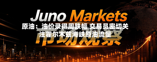 原油:油价录得周跌幅 交易员密切关注霍尔木兹海峡原油流量-第3张图片
