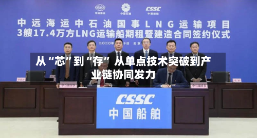 从“芯	”到“存” 从单点技术突破到产业链协同发力-第2张图片