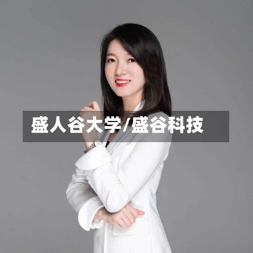 盛人谷大学/盛谷科技-第3张图片