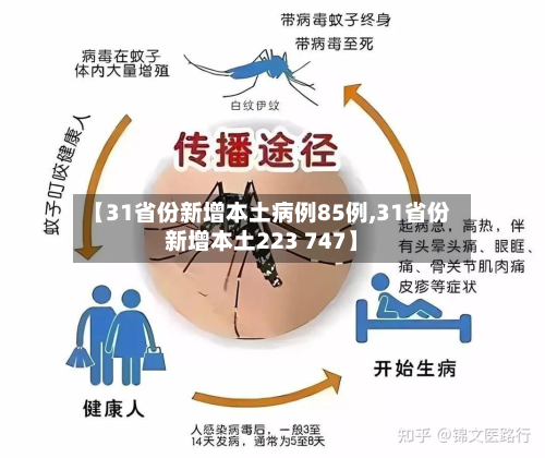 【31省份新增本土病例85例,31省份新增本土223 747】-第2张图片
