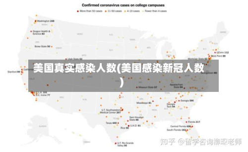 美国真实感染人数(美国感染新冠人数)-第2张图片