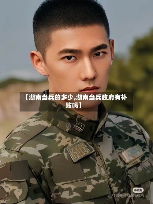 【湖南当兵的多少,湖南当兵政府有补贴吗】-第2张图片